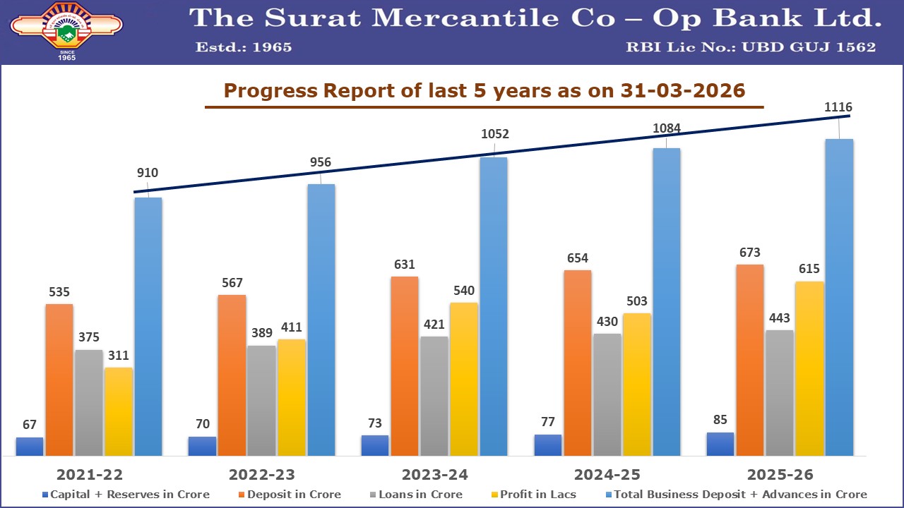 Progress Report 2026